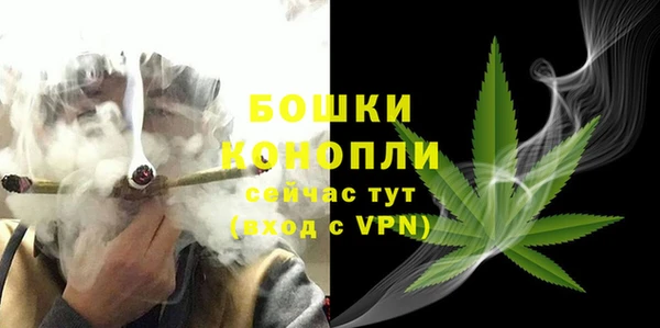 ПСИЛОЦИБИНОВЫЕ ГРИБЫ Богданович