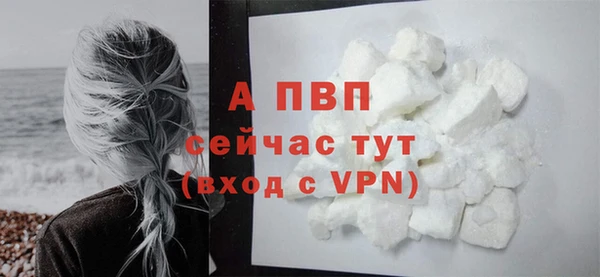 ПСИЛОЦИБИНОВЫЕ ГРИБЫ Богданович