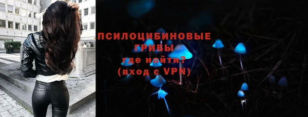 дурь Богородицк