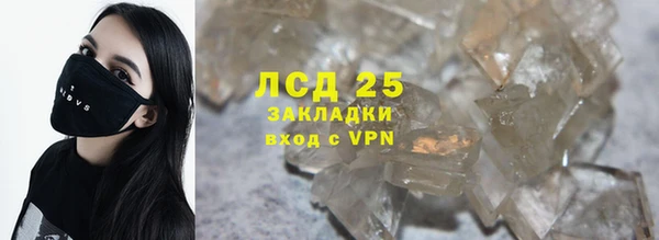 ПСИЛОЦИБИНОВЫЕ ГРИБЫ Богданович