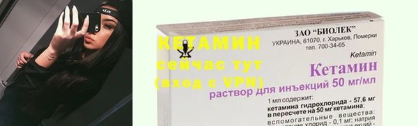 ПСИЛОЦИБИНОВЫЕ ГРИБЫ Богданович