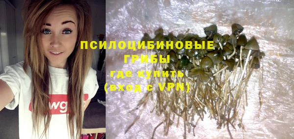 дурь Богородицк