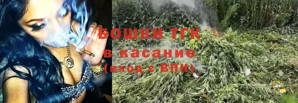 ПСИЛОЦИБИНОВЫЕ ГРИБЫ Богданович