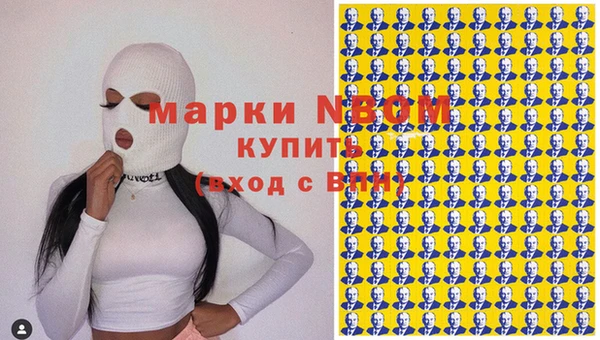 ПСИЛОЦИБИНОВЫЕ ГРИБЫ Богданович