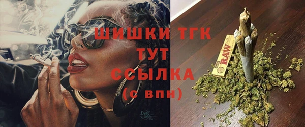 ПСИЛОЦИБИНОВЫЕ ГРИБЫ Богданович