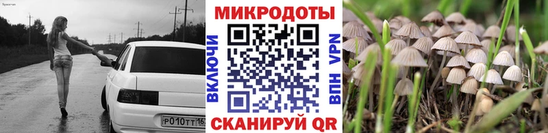 мега зеркало  купить закладку  Тольятти  Галлюциногенные грибы прущие грибы 